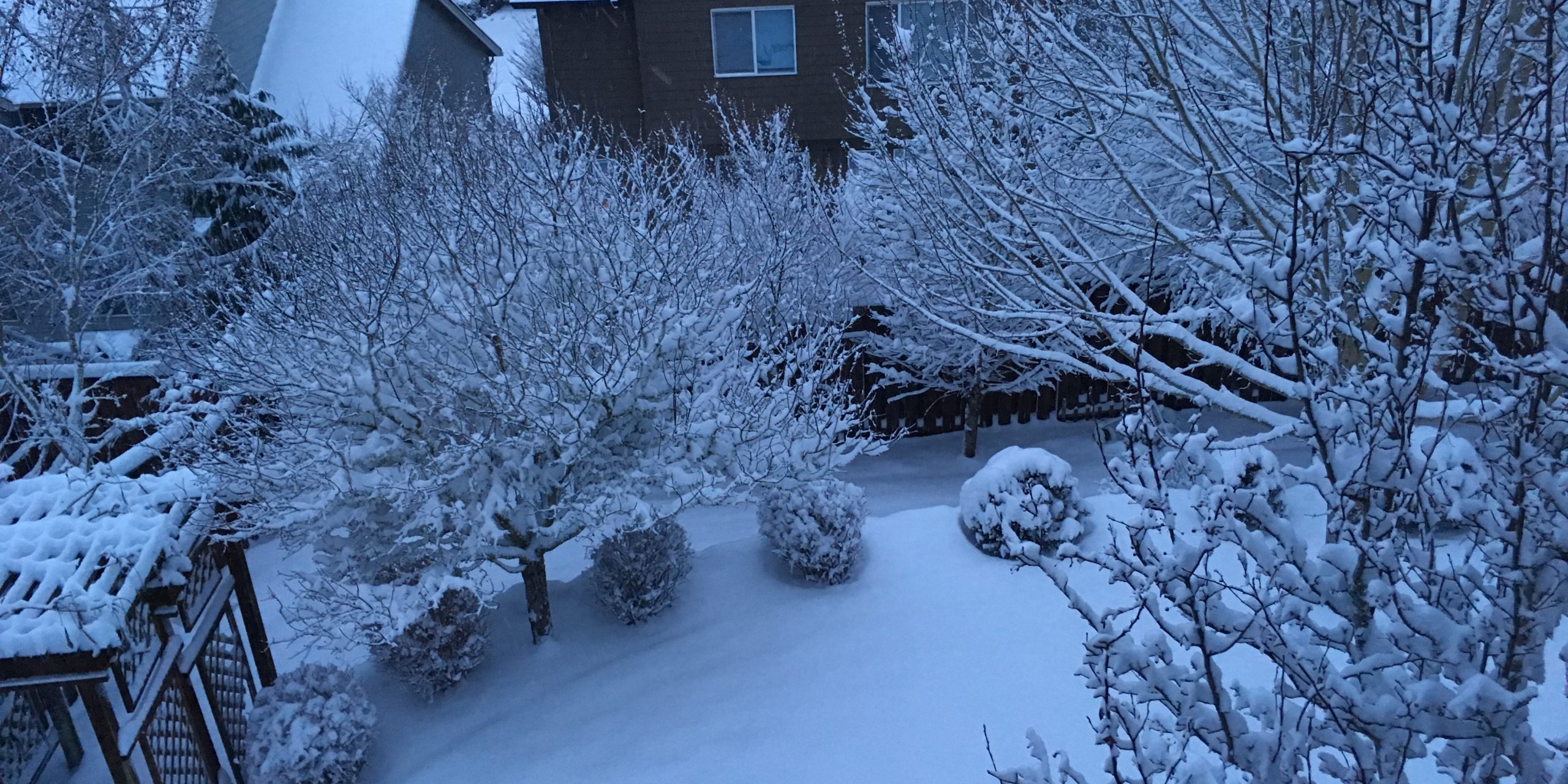 snowstorm
